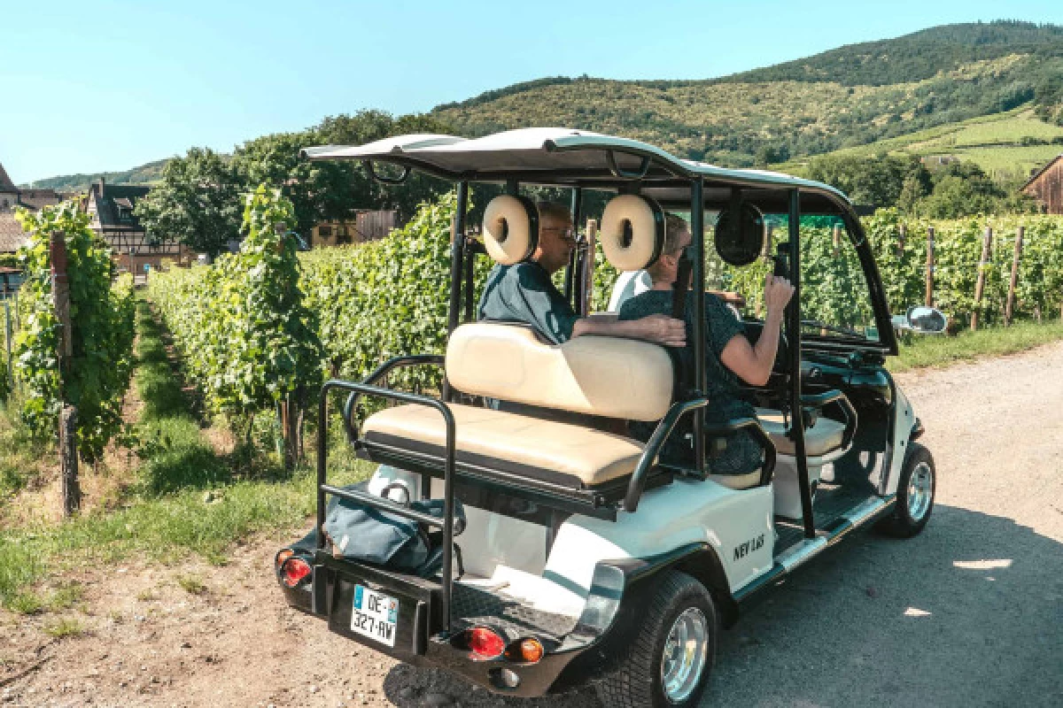 Promenade en véhicule électrique dans le vignoble - Bonjour Fun