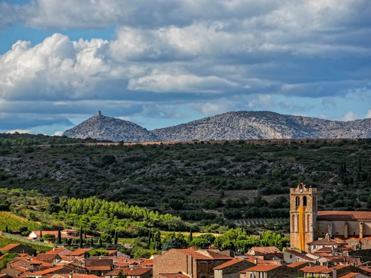 Entre Vignes et Olives du Roussillon - Bonjour Fun