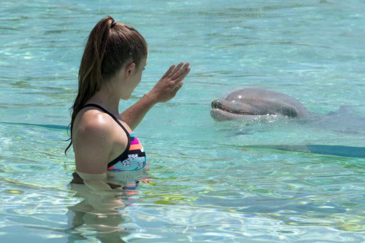 Entrée Marineland + Lagoon - PROMO - Bonjour Fun