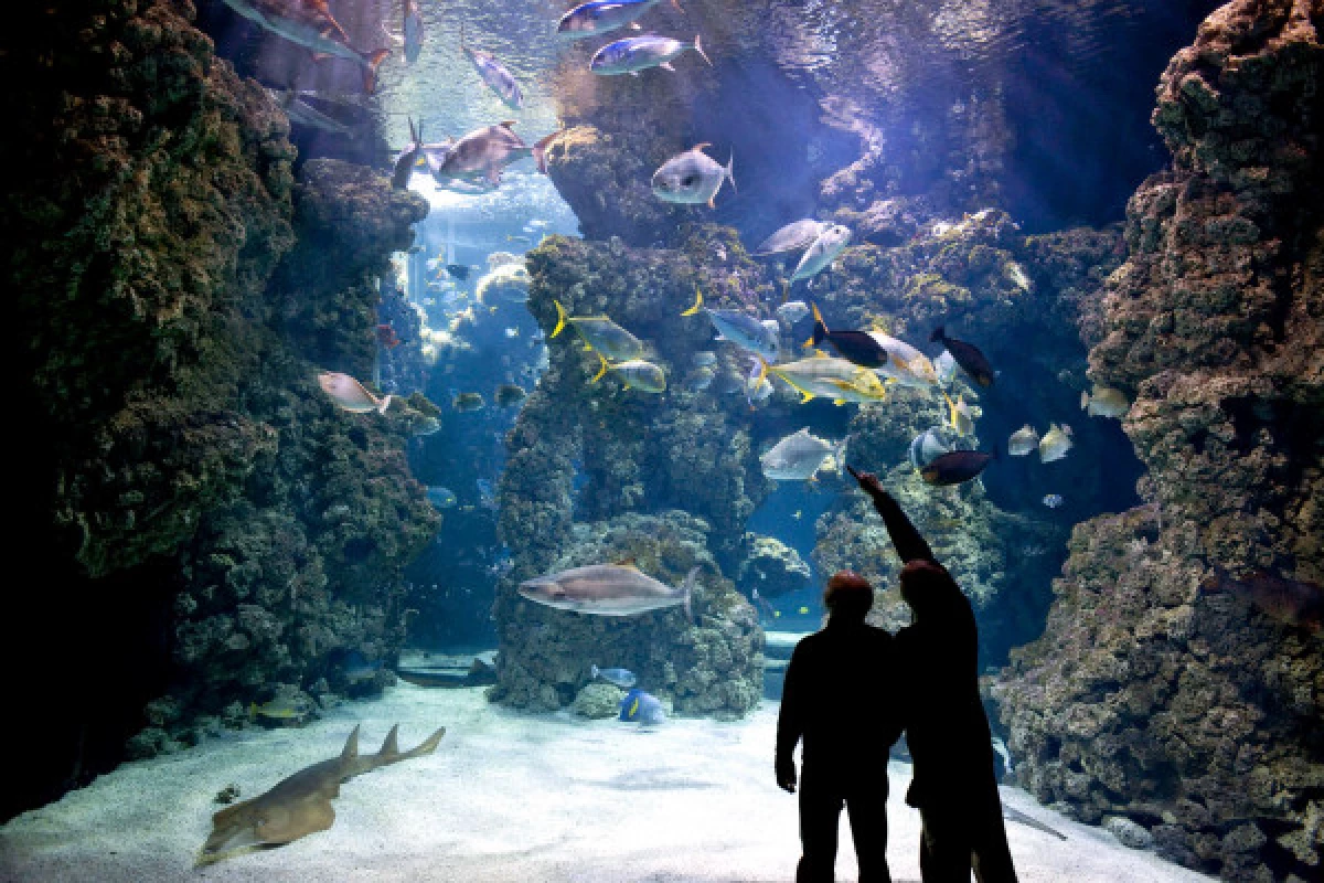 Entrée Musée Océanographique  - Découverte des fonds marins - Bonjour Fun