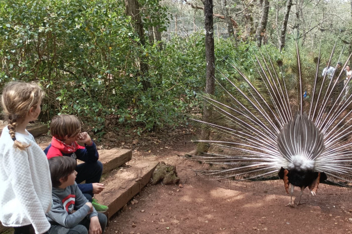 Entrée promo - Parc nature Aoubré - Coeur du Var - Bonjour Fun