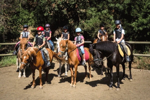 Equitation : Pégase dès 8 ans - Bonjour Fun