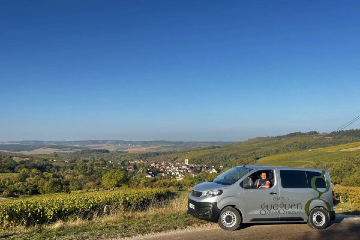 Escapade et dégustation dans le Vignoble du Chablisien - Bonjour Fun