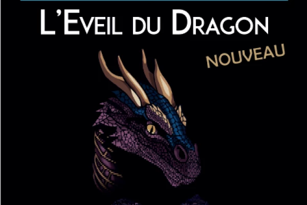 Escape Room : L'éveil du Dragon | Tellure Mine d'argent - Bonjour Fun