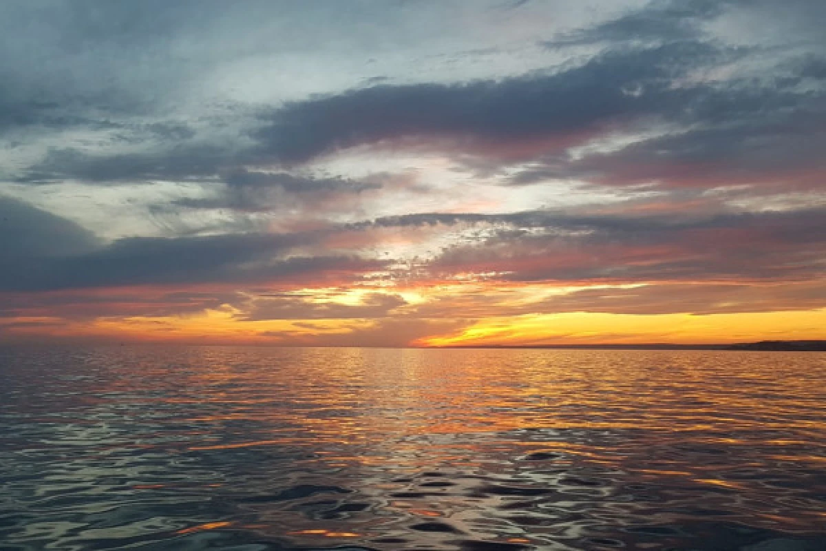 Soirée au soleil couchant dans les Calanques du Frioul - Vieux Port CNTL - Bonjour Fun