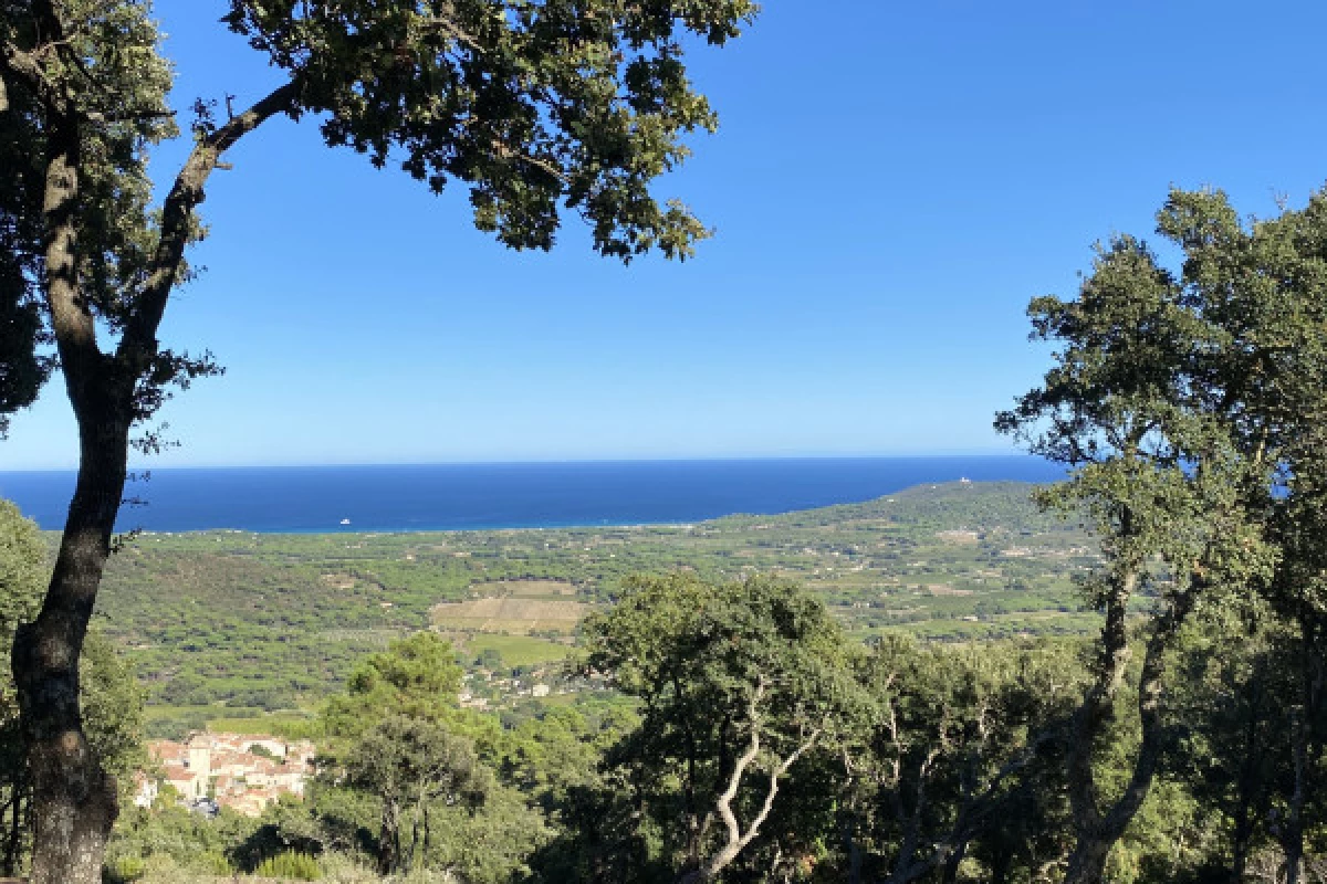 Excursion dans la région tropezienne en mehari ou 2CV - Bonjour Fun