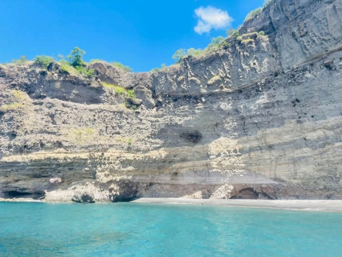 Excursion dauphin Nord de la Martinique - Enfant moins de 12 ans - Bonjour Fun