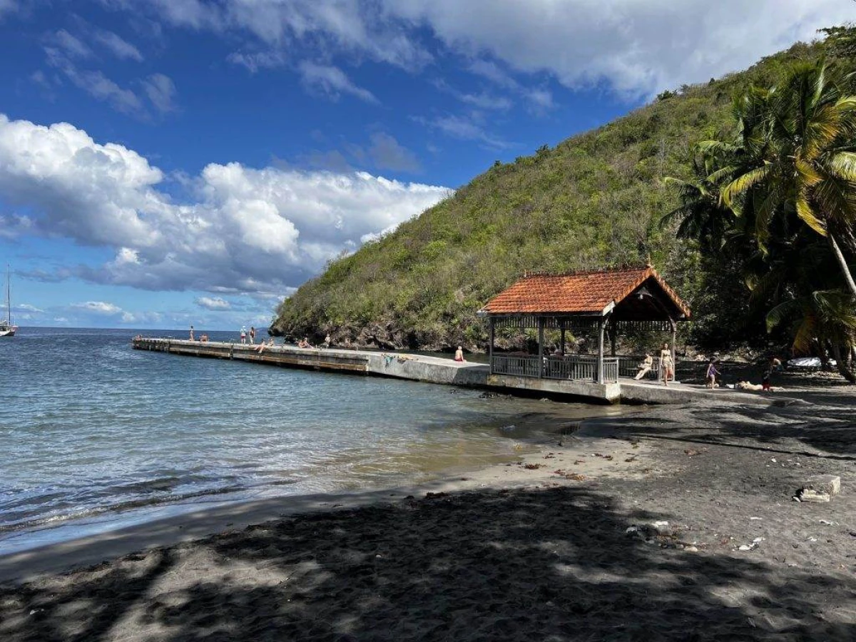 Excursion dauphin Nord de la Martinique - Enfant moins de 12 ans - Bonjour Fun