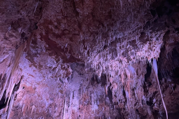 Excursion en minibus - Demi Journée St Guilhem le Désert Grotte et Vin - Bonjour Fun