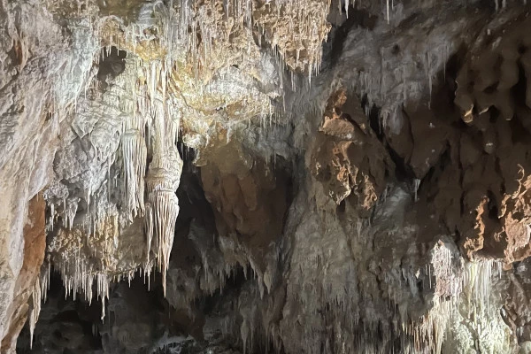 Excursion en minibus - Demi Journée St Guilhem le Désert Grotte et Vin - Bonjour Fun