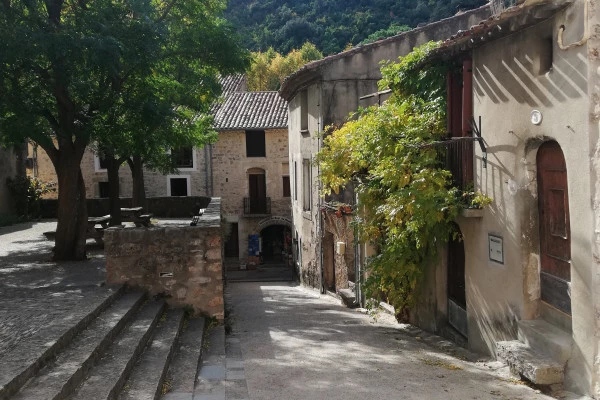 Excursion en minibus - Demi Journée St Guilhem le Désert Grotte et Vin - Bonjour Fun