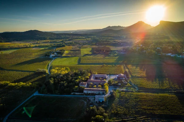 Excursion en minibus Pic Saint Loup - Journée Complète dans un Vignoble - Bonjour Fun