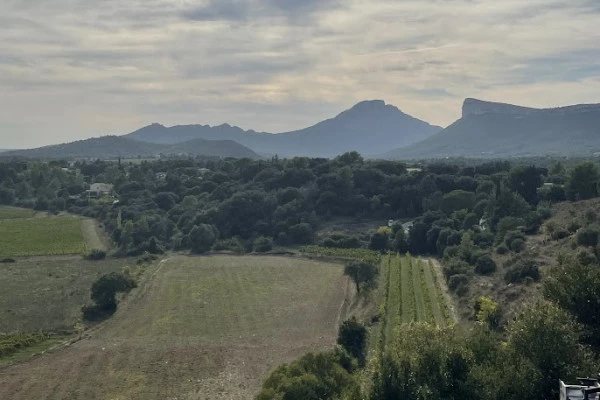 Excursion en minibus Pic Saint Loup - Journée Complète dans un Vignoble - Bonjour Fun