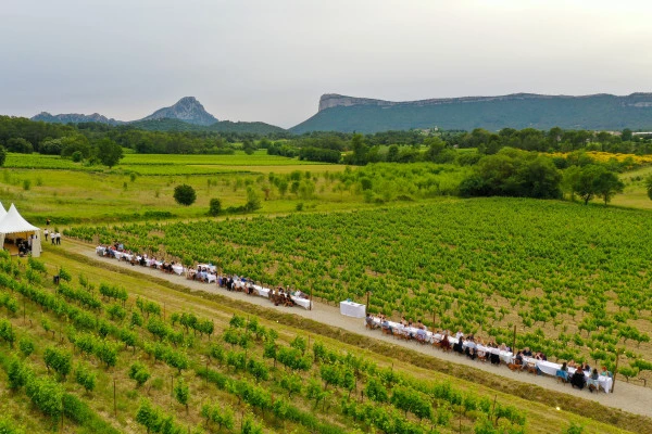 Excursion en minibus Pic Saint Loup - Journée Complète dans un Vignoble - Bonjour Fun