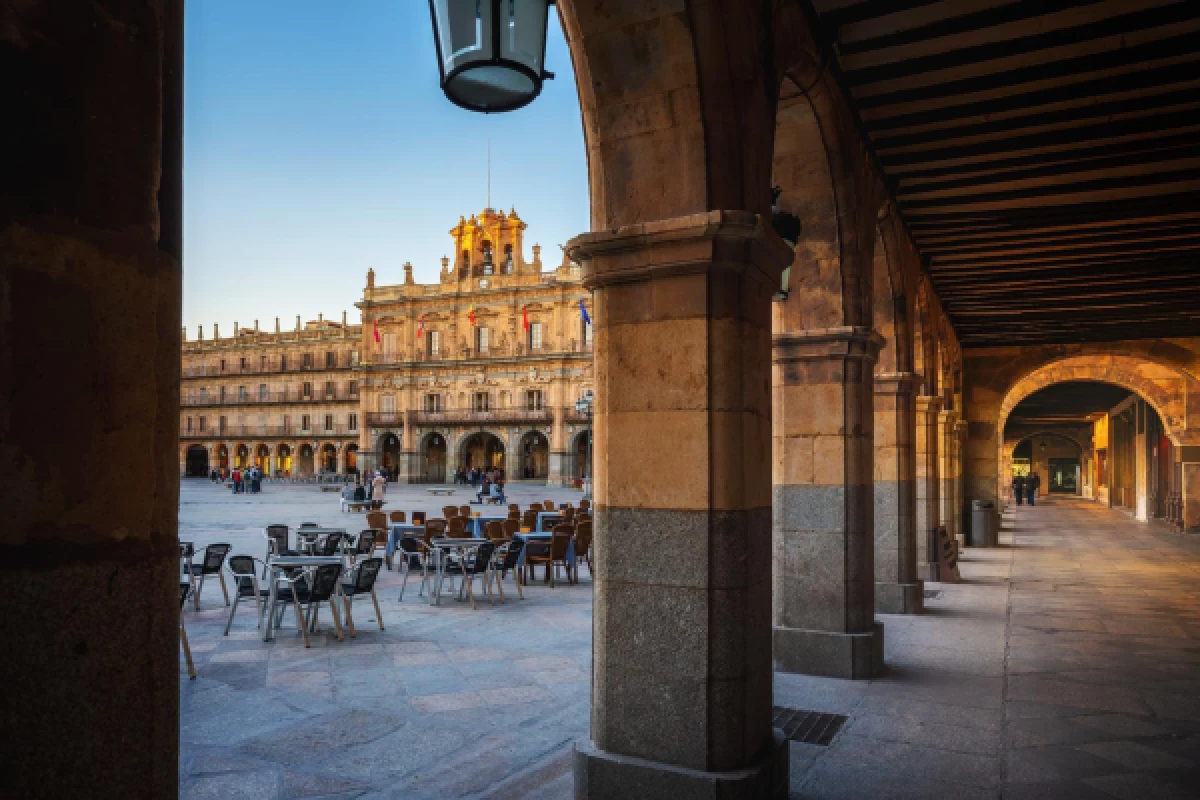 Exclusive Excursion to Salamanca - Bonjour Fun