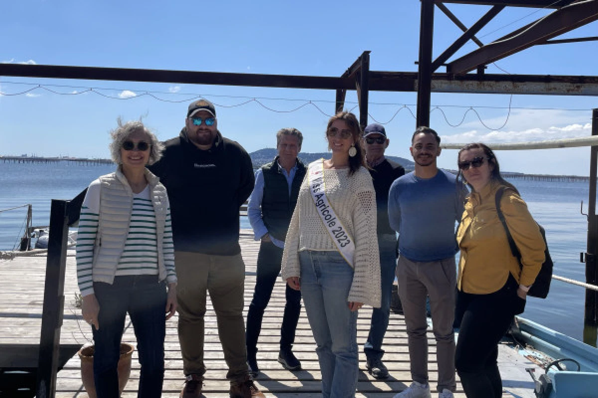 Excursion Picpoul de Pinet - Demi journée Balade en Bateau et Huîtres - Bonjour Fun