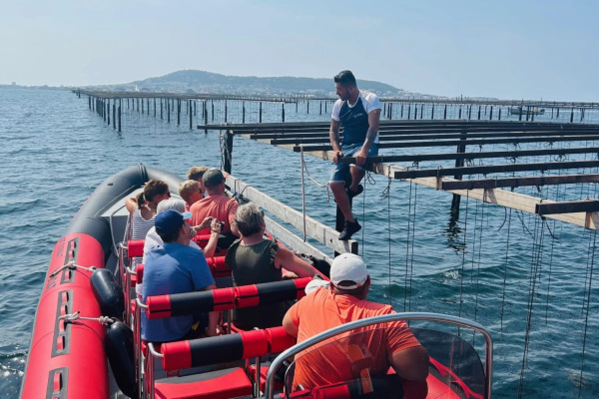 Excursion Picpoul de Pinet - Demi journée Balade en Bateau et Huîtres - Bonjour Fun