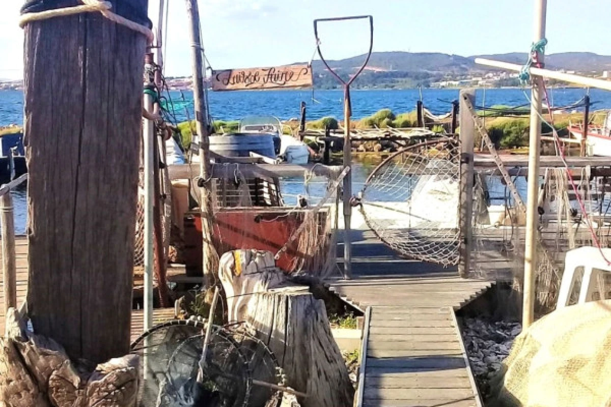 Excursion Picpoul de Pinet - Demi journée Visite de Sète et Huîtres - Bonjour Fun