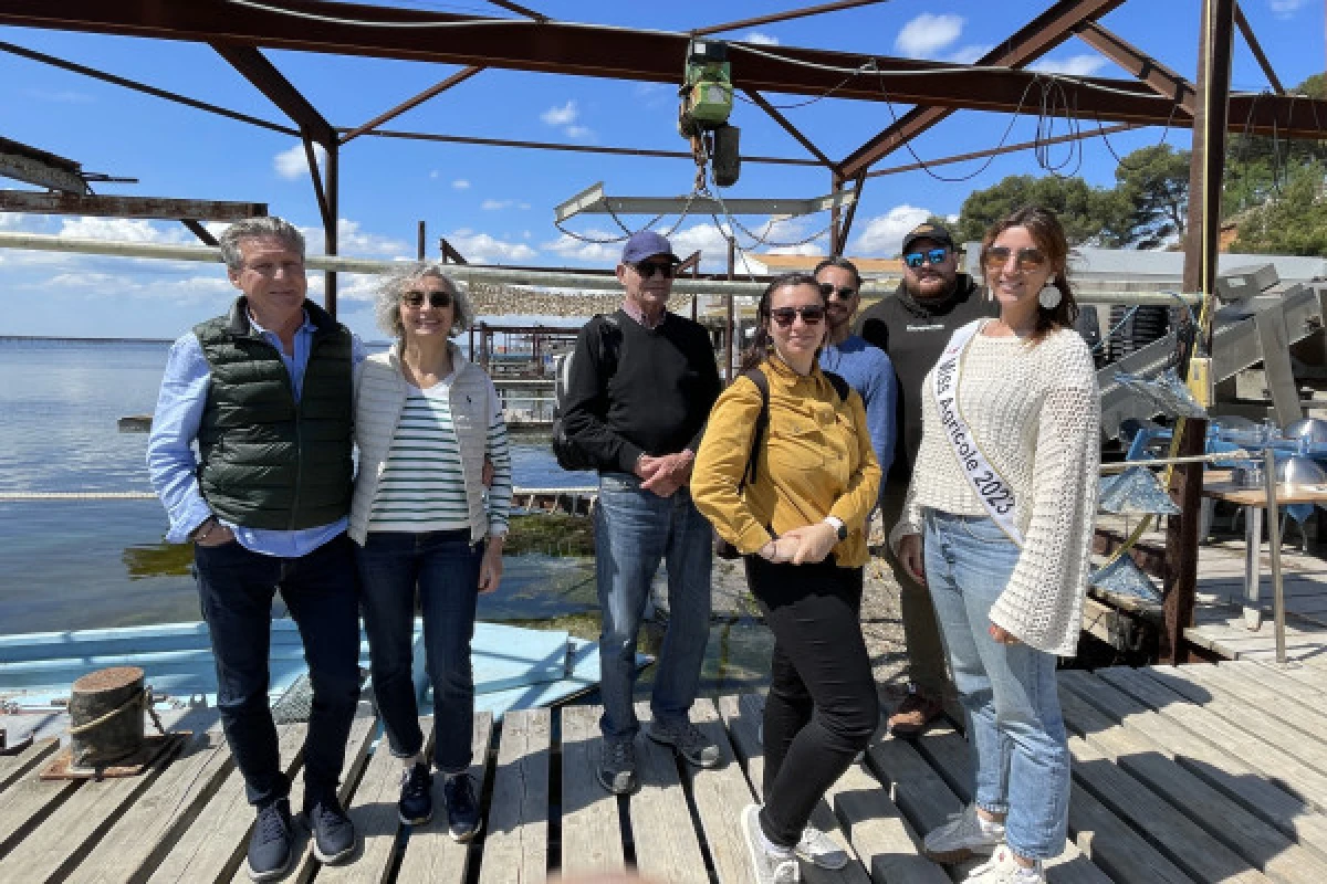 Excursion Picpoul de Pinet - Demi journée Visite de Sète et Huîtres - Bonjour Fun