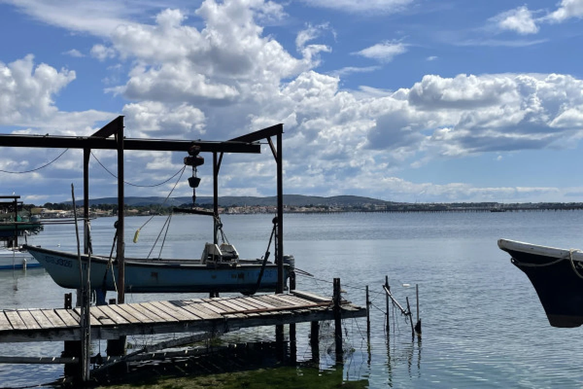 Excursion Picpoul de Pinet - Demi journée Visite de Sète et Huîtres - Bonjour Fun