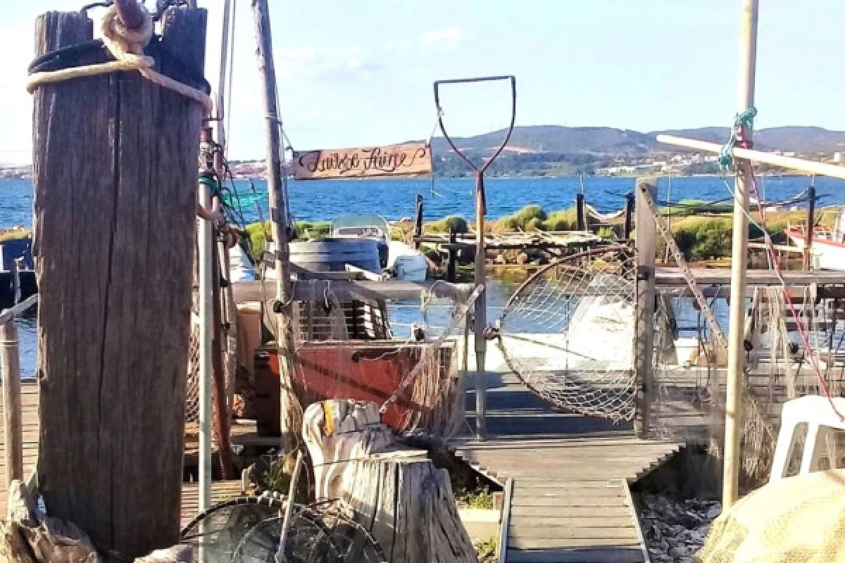 Excursion Picpoul de Pinet - Journée Visite de Sète, Huîtres et Vin - Bonjour Fun