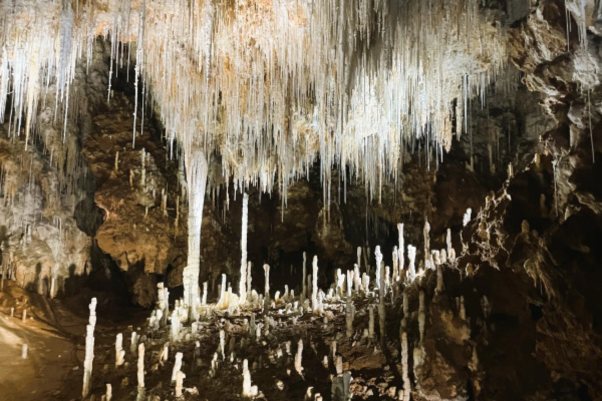 Excursion Terrasses du Larzac - Demi Journée Grotte et Vin - Bonjour Fun