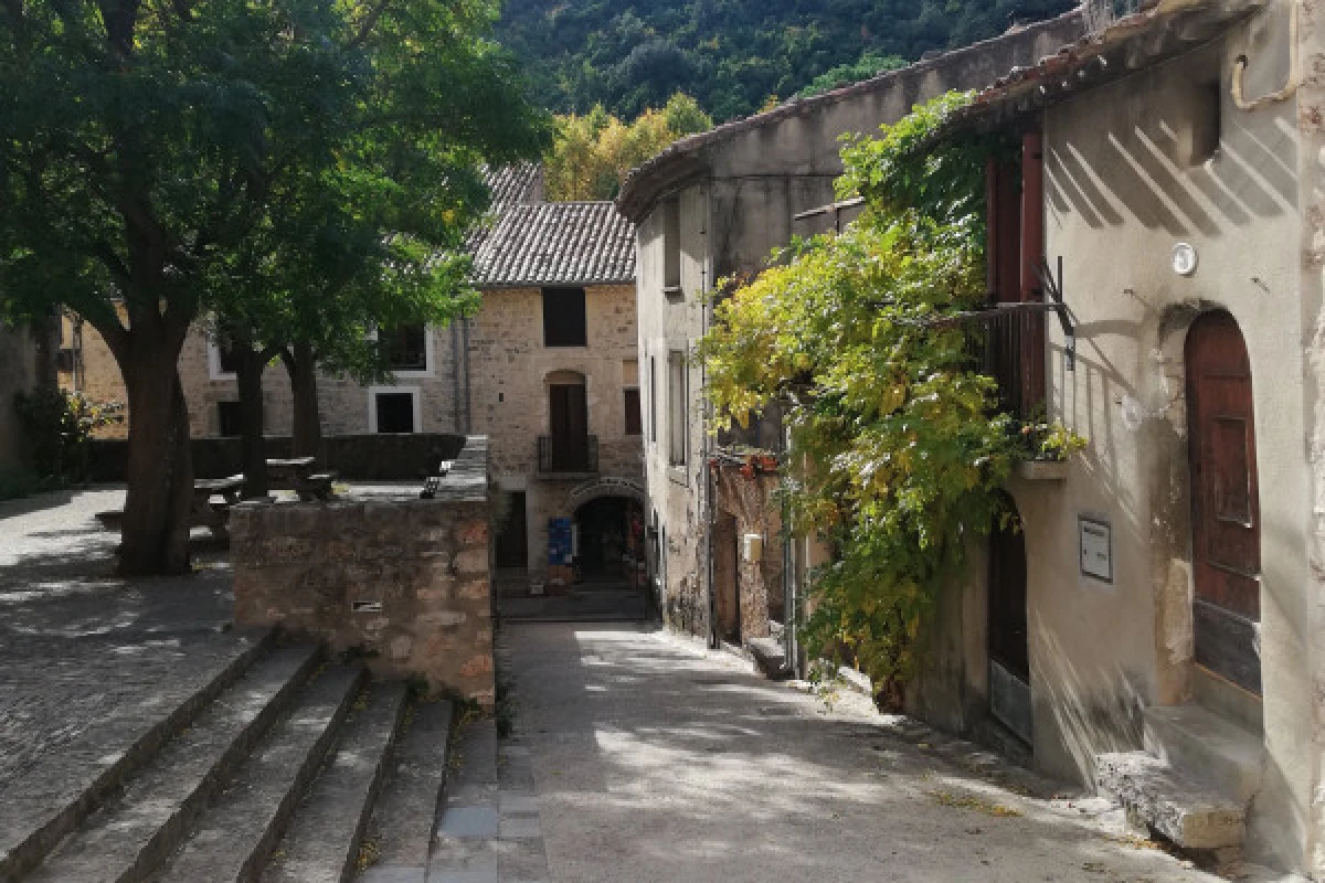 Excursion Terrasses du Larzac - Demi Journée Grotte et Vin - Bonjour Fun