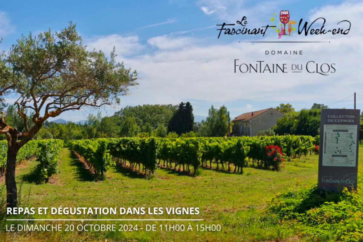 Fascinant week-end : Repas dégustation dans les vignes - Bonjour Fun