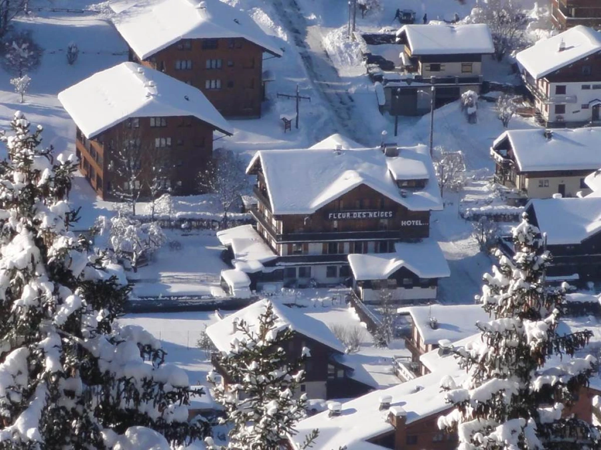 Fleur des Neiges - Bonjour Fun