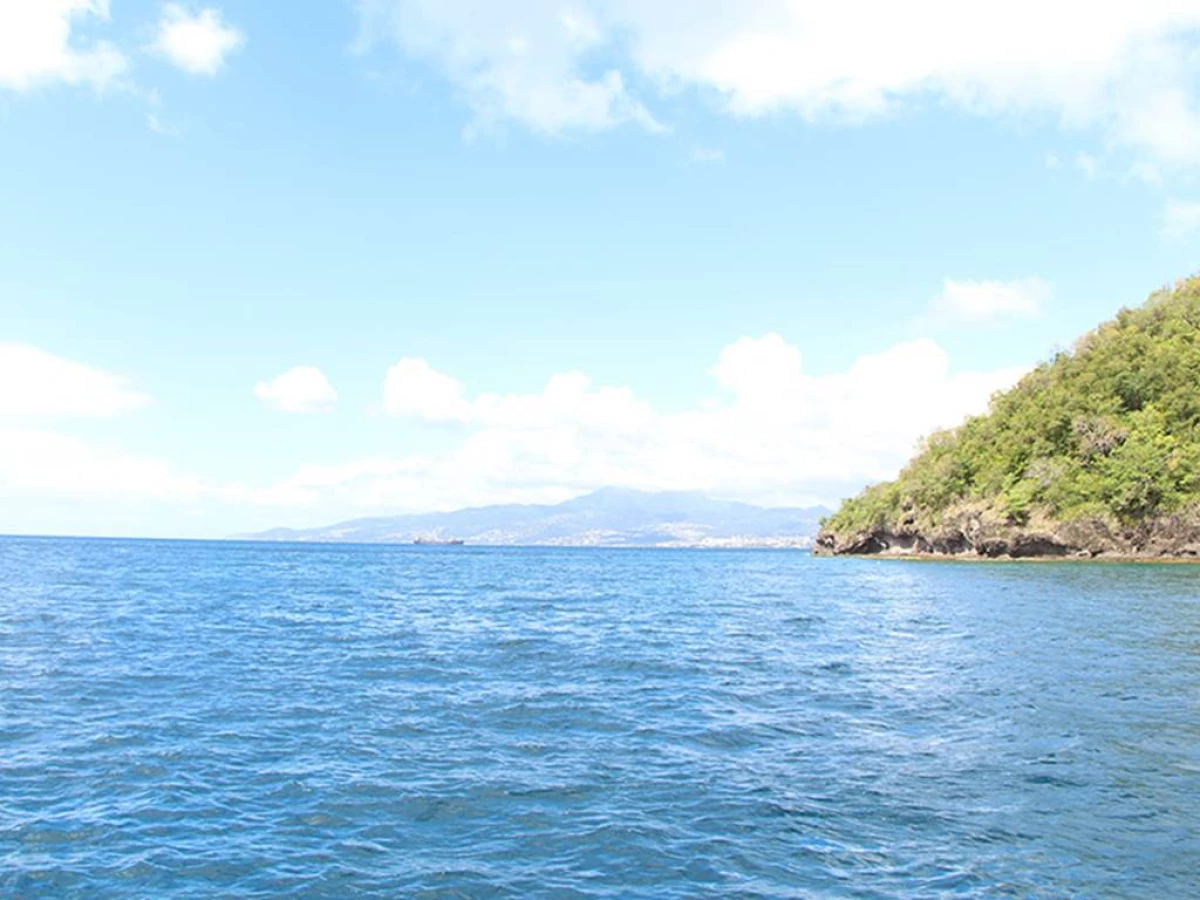 Excursion en bateau en Martinique - Bonjour Fun