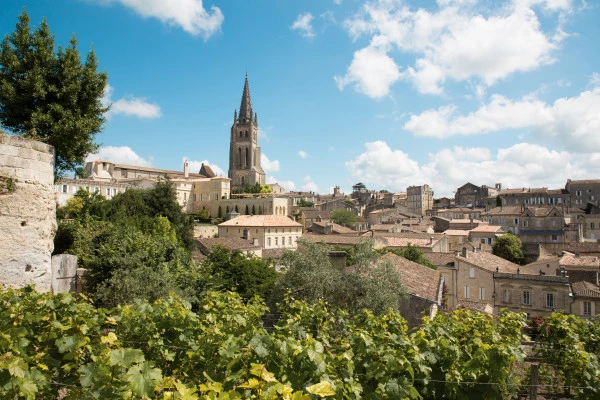 Depuis Bordeaux: tour privé à Saint Emilion - Bonjour Fun