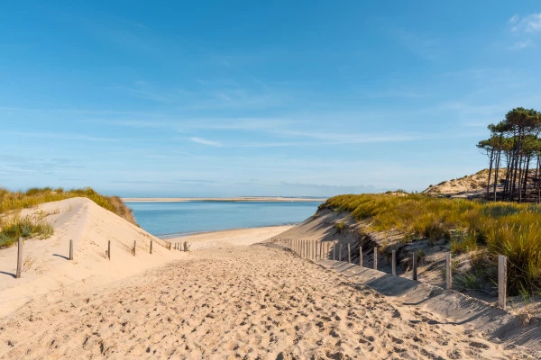 Depuis Bordeaux : tour privé sur le Bassin d'Arcachon - Bonjour Fun