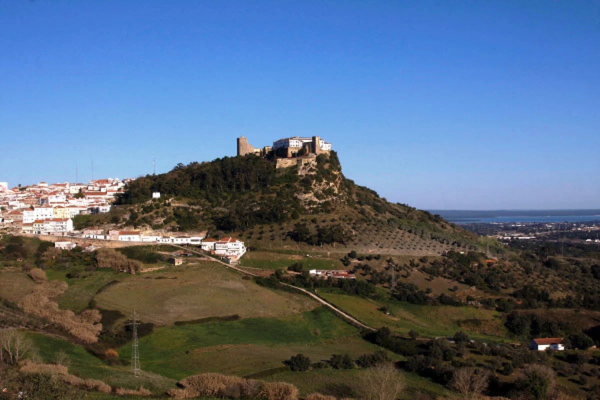 Full Day Guided Tour to Arrábida - Bonjour Fun