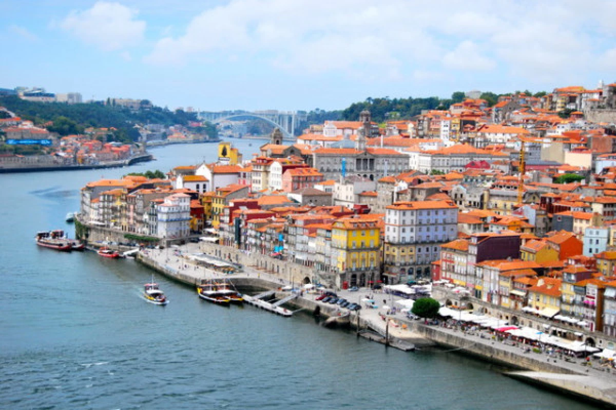 Full Day Guided Tour to Porto - Bonjour Fun