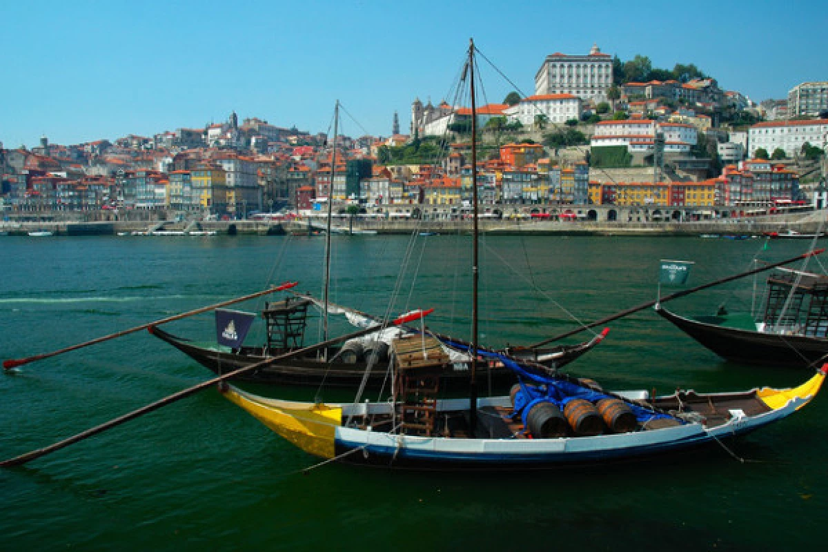 Full Day Guided Tour to Porto - Bonjour Fun