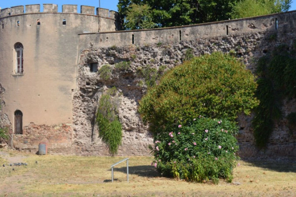 Guided tour "Provençal Pompeii" - Bonjour Fun