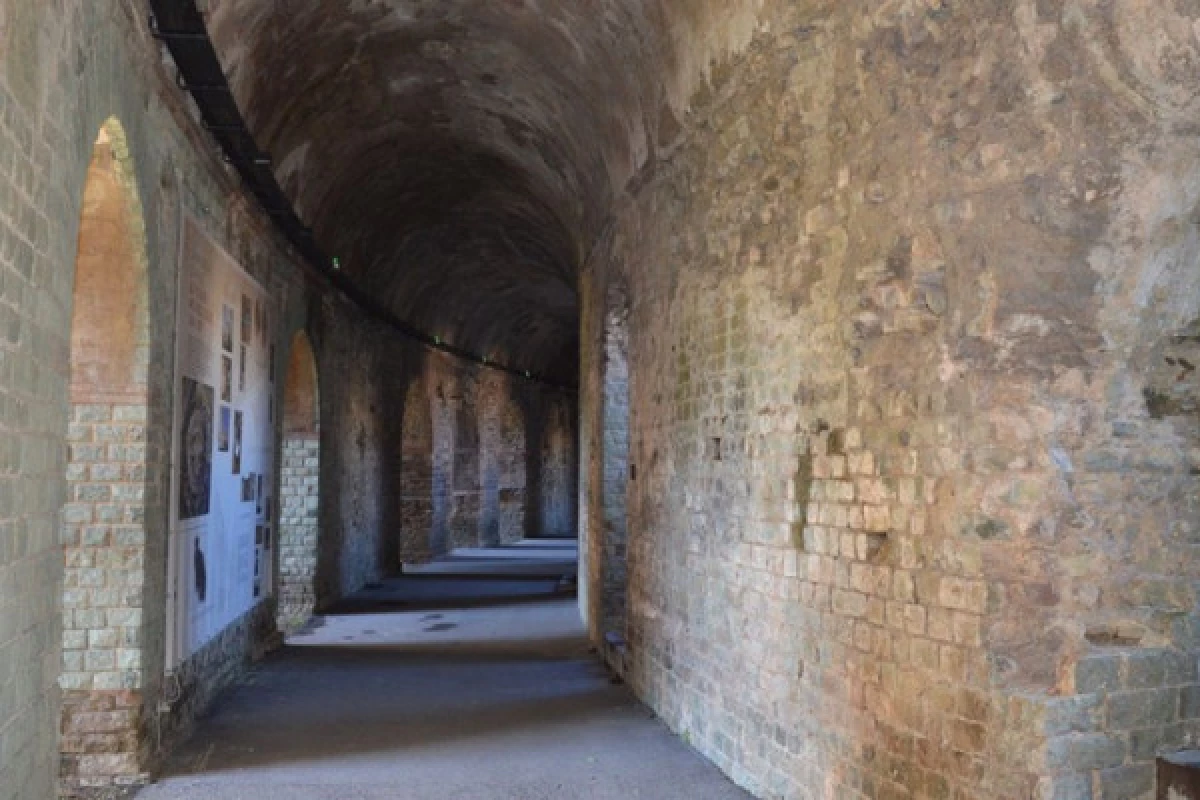 Guided tour "Provençal Pompeii" - Bonjour Fun