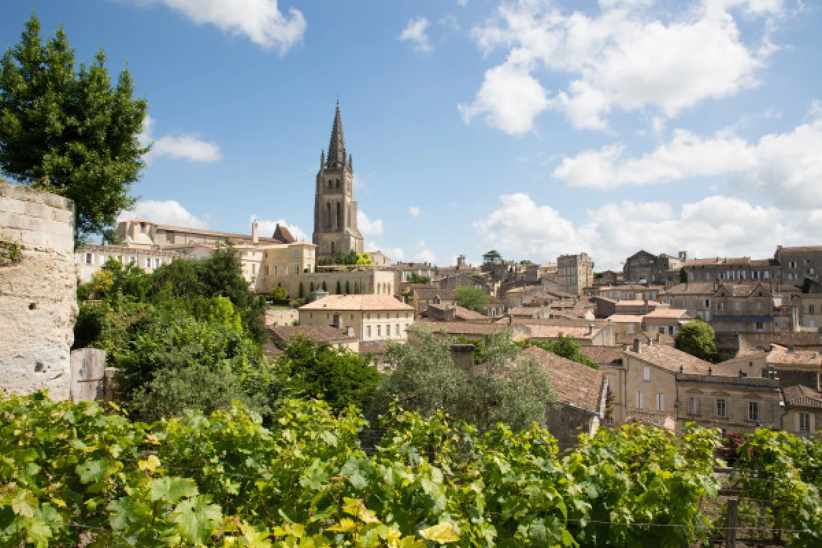 Tour 1/2 journée Saint-Emilion : Village, Château et dégustations - Bonjour Fun