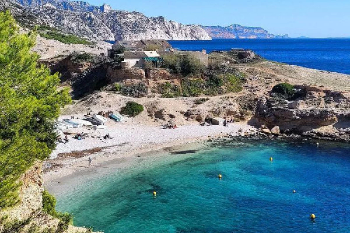 Hike to Calanque of Marseilleveyre - Bonjour Fun