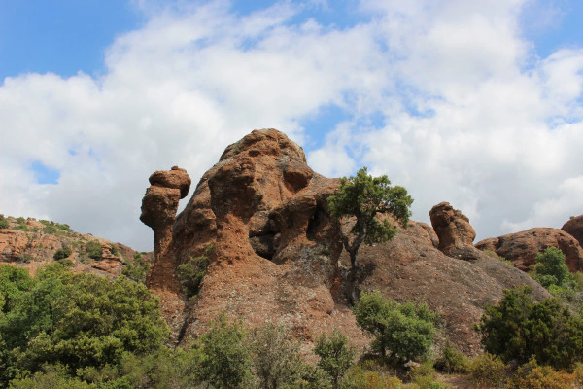 Hike to the 3 Crosses of Roquebrune Rock - Bonjour Fun