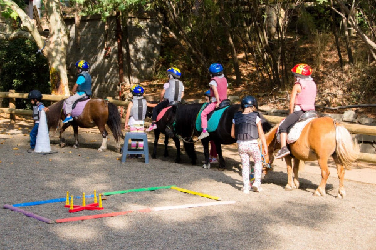 Horse riding for children : Little cloud - Saint-Raphaël - Bonjour Fun