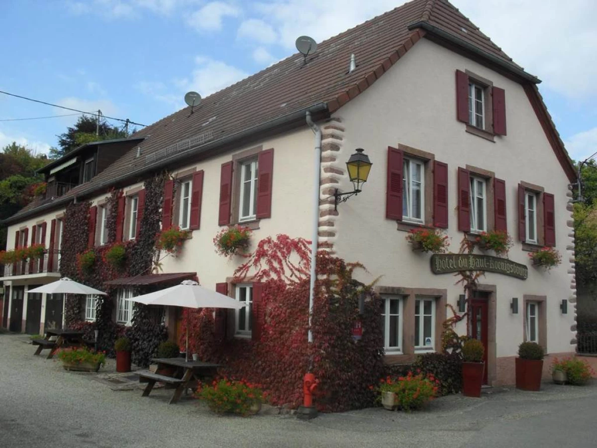 Hôtel du Haut Koenigsbourg- entre vignes et châtea - Bonjour Fun