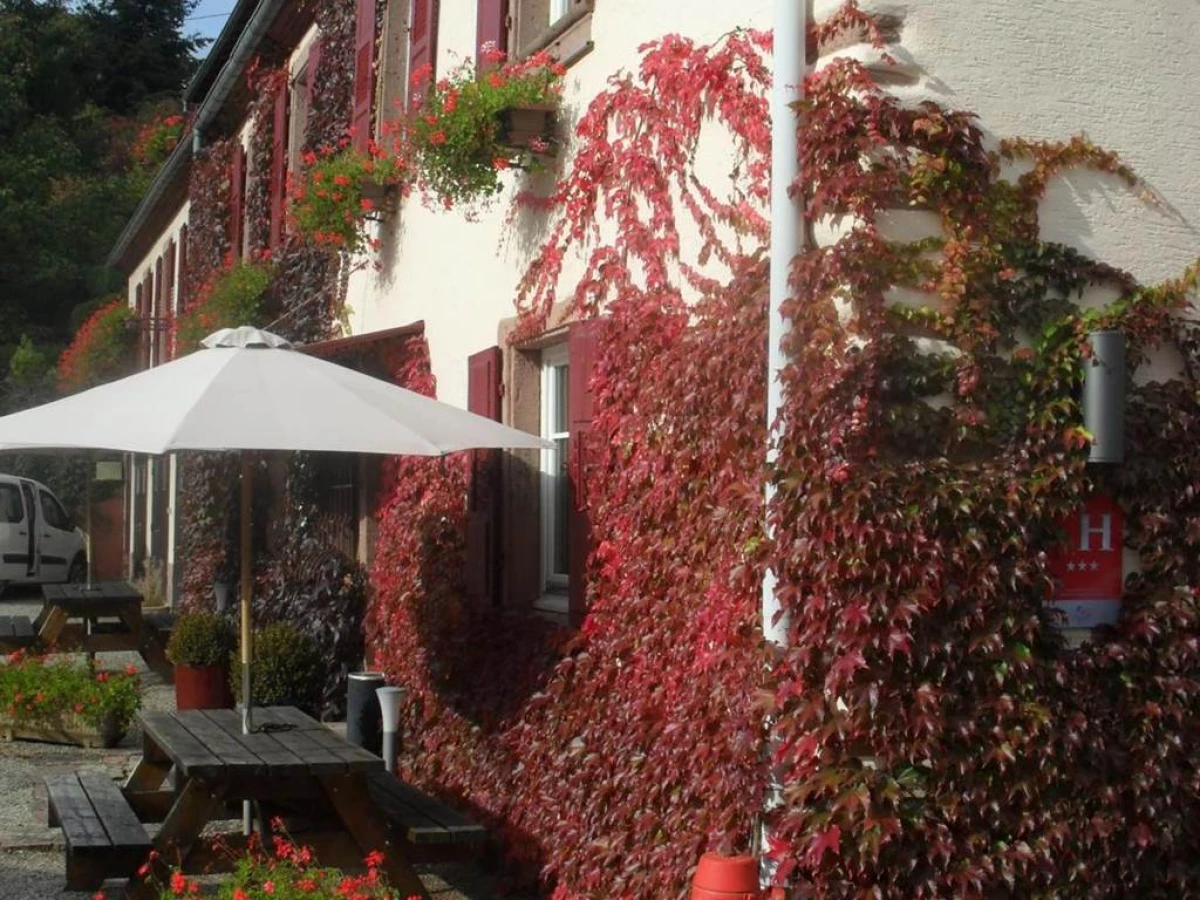 Hôtel du Haut Koenigsbourg- entre vignes et châtea - Bonjour Fun