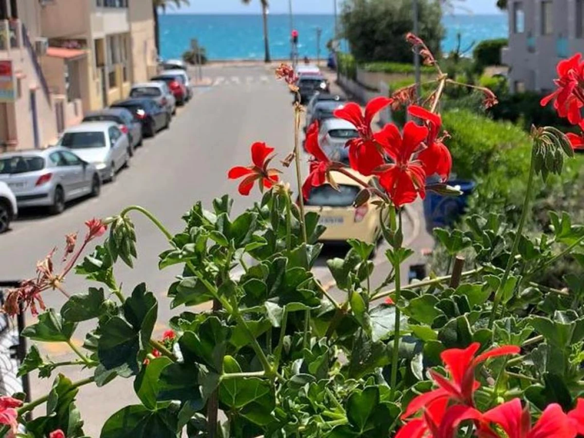 Hôtel La Villa des Oliviers - Bonjour Fun