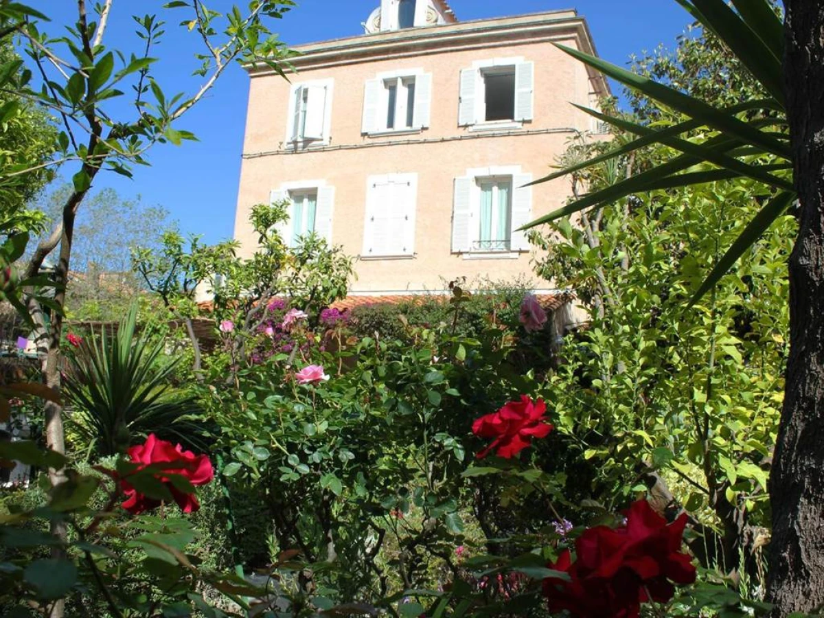 Hôtel Les Palmiers - Bonjour Fun