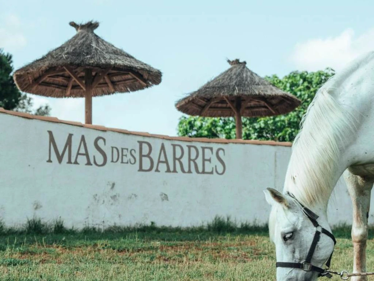 Hotel Mas Des Barres - Bonjour Fun