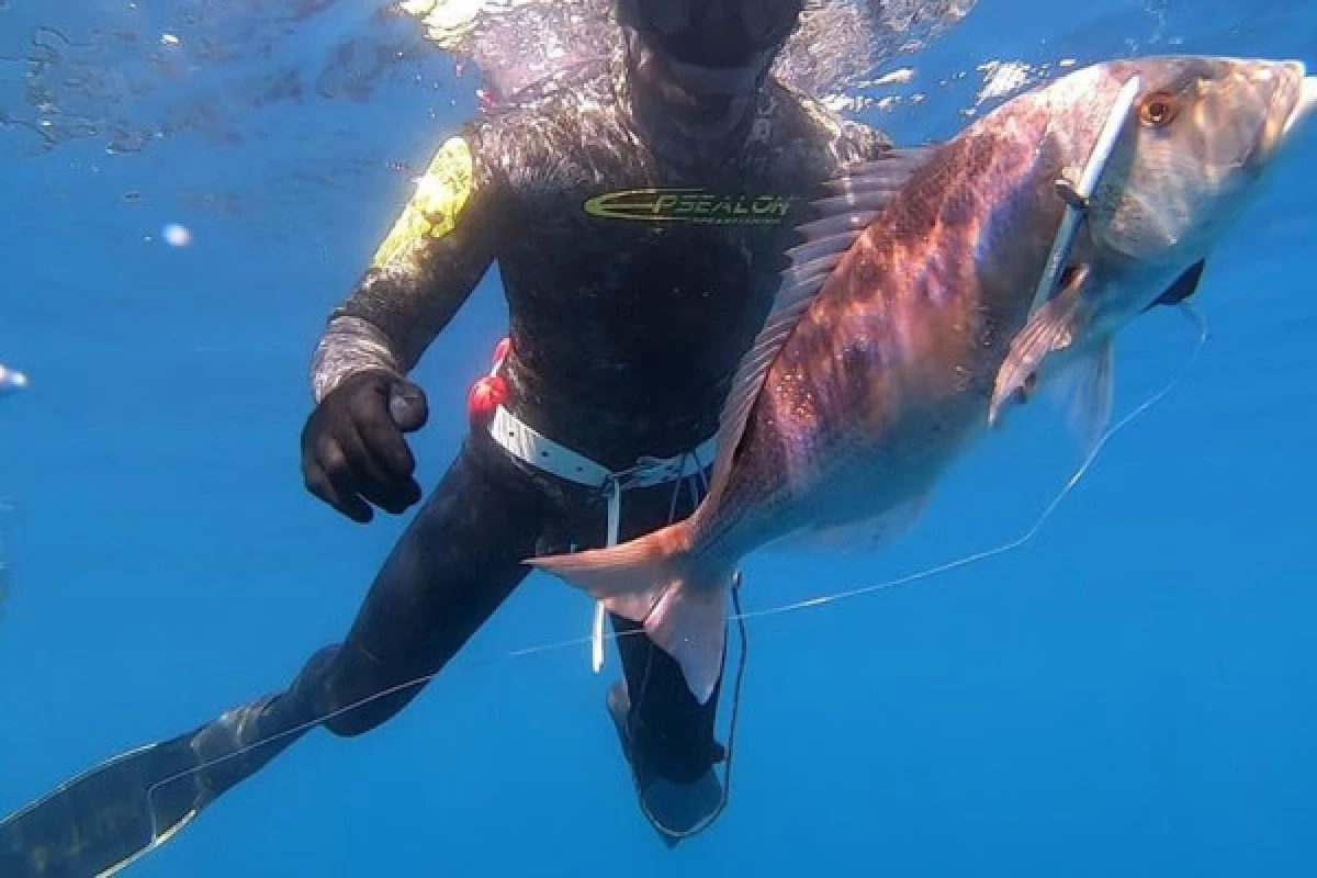 Initiation/Perfectionnement : Pêche Sous-Marine - Bonjour Fun