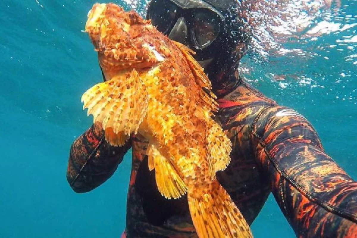 Initiation/Perfectionnement : Pêche Sous-Marine - Bonjour Fun