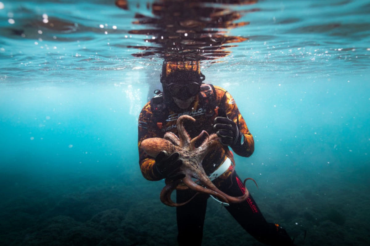 Initiation/Perfectionnement : Pêche Sous-Marine - Bonjour Fun