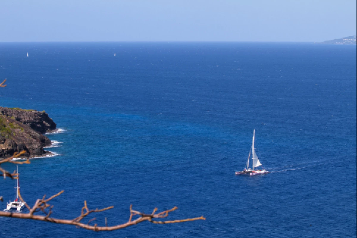 Journée en Catamaran de Cogolin au Cap Dramont - Bonjour Fun